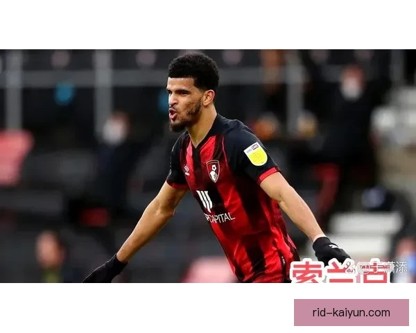 伯恩茅斯明星球员表现亮眼，持续引领球队向前迈进