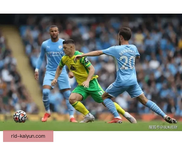 诺维奇金丝雀状态回暖，近期表现值得关注